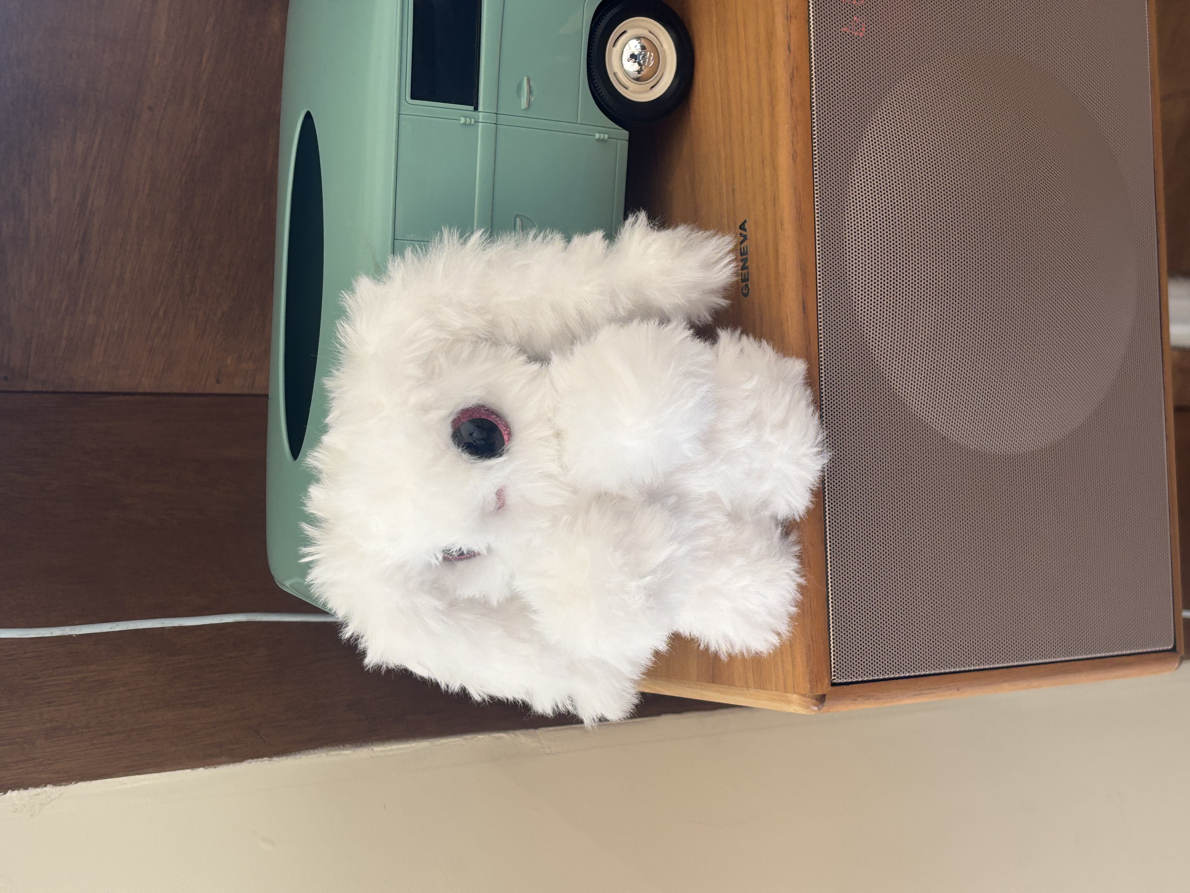 Lop Rabbit Cafe 3